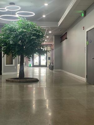 Interior, Pendant Lights, Recessed Lighting
