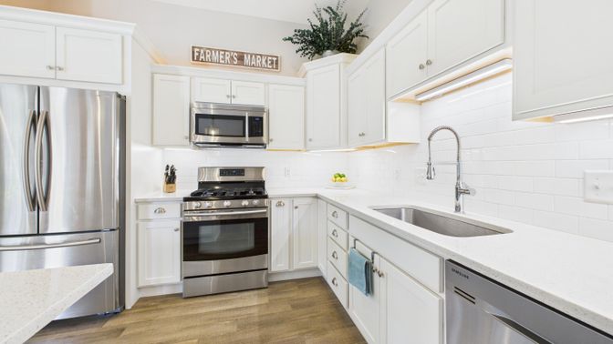 Interior, Kitchen, Stainless Steel Appliances, Wood Texture Flooring