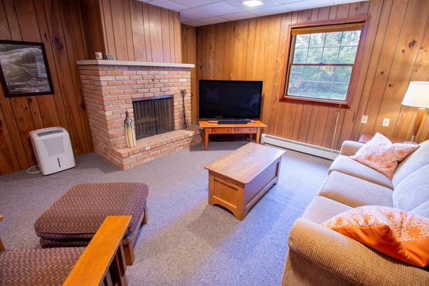 Fireplace, Interior, Living room, Recessed Lighting, Wooden Walls