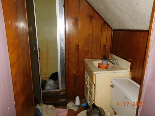 Bathroom, Interior, Wooden Walls