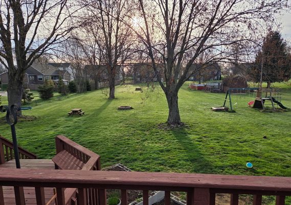 Backyard, Exterior, Playground
