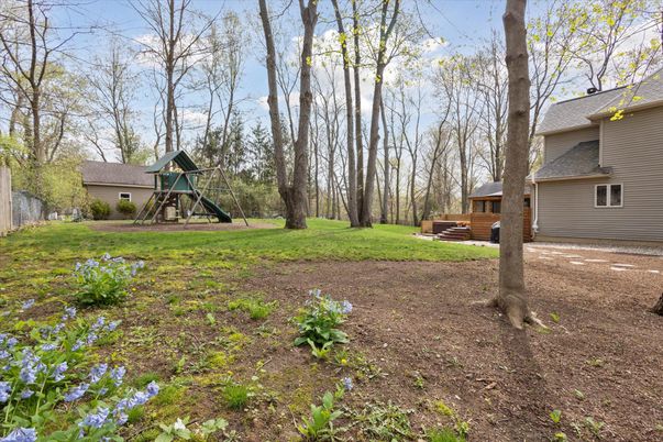 Backyard, Exterior, Playground