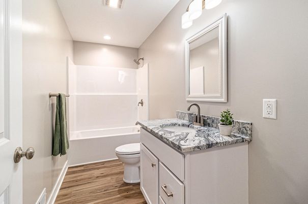 Bathroom, Interior, Recessed Lighting, Wood Texture Flooring