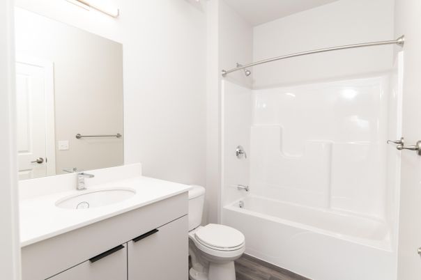 Bathroom, Interior, Wood Texture Flooring