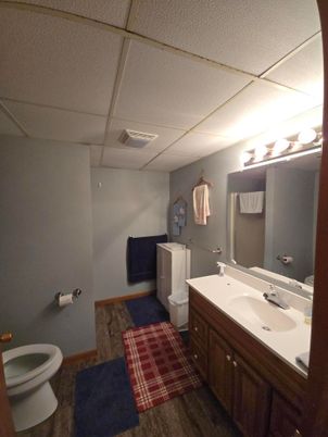 Bathroom, Interior, Wood Texture Flooring