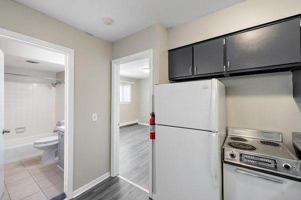 Bathroom, Interior, Kitchen, Wood Texture Flooring