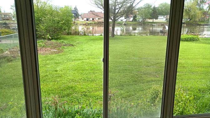 Backyard, Exterior, Water