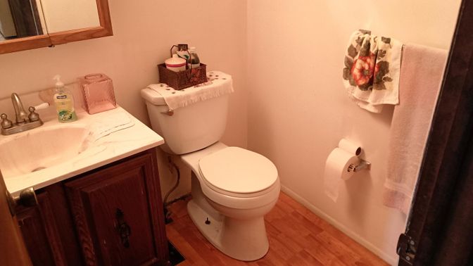 Bathroom, Interior, Wood Texture Flooring