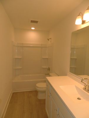 Bathroom, Interior, Recessed Lighting, Wood Texture Flooring
