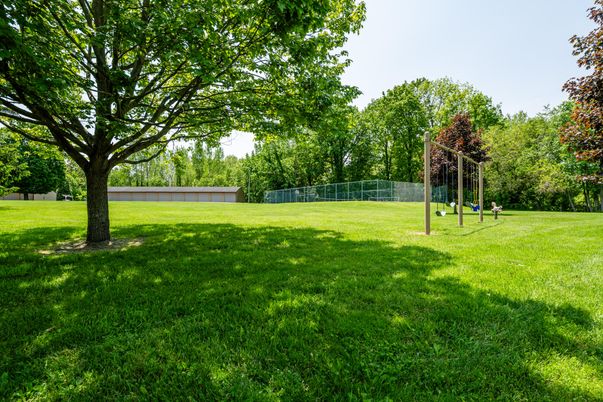 Backyard, Exterior, Playground