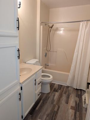 Bathroom, Interior, Wood Texture Flooring