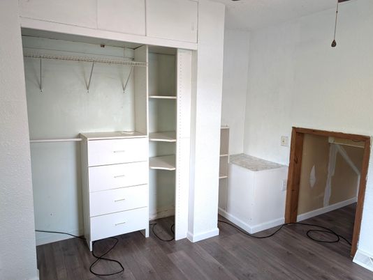 Interior, Walk-in Closets, Wood Texture Flooring