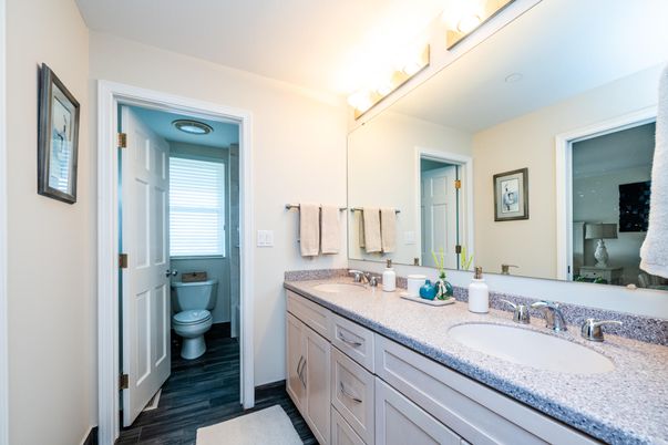 Bathroom, Dual Sink Vanities, Interior, Wood Texture Flooring