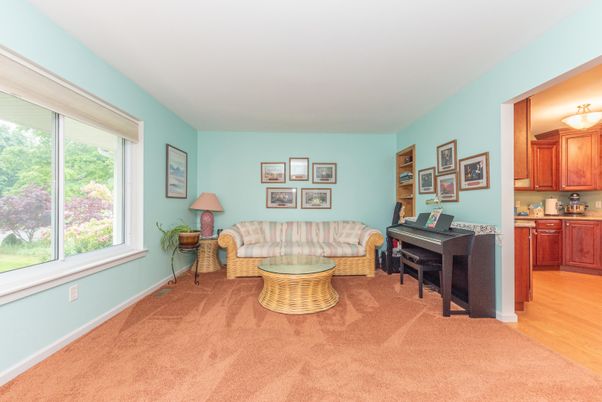 Interior, Living room, Piano, Wood Texture Flooring
