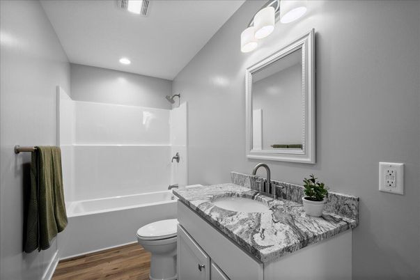 Bathroom, Interior, Recessed Lighting, Wood Texture Flooring