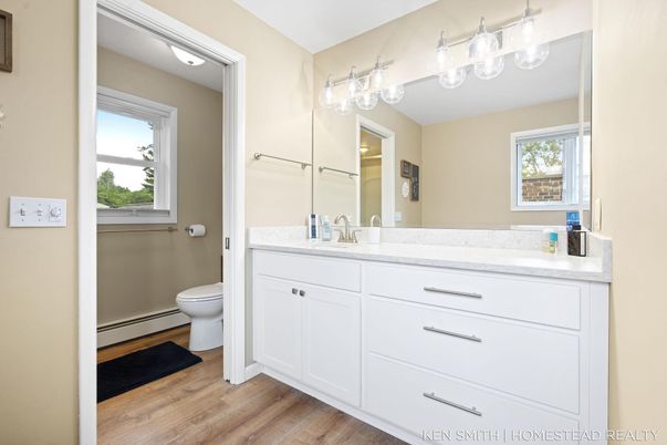Bathroom, Interior, Wood Texture Flooring