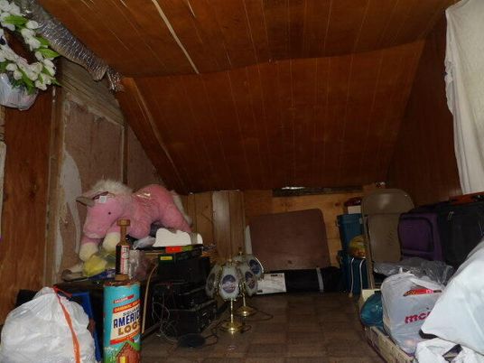 Interior, Wooden Ceilings, Wood Texture Flooring
