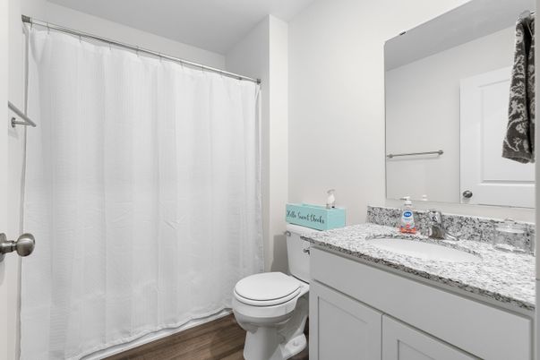 Bathroom, Interior, Wood Texture Flooring