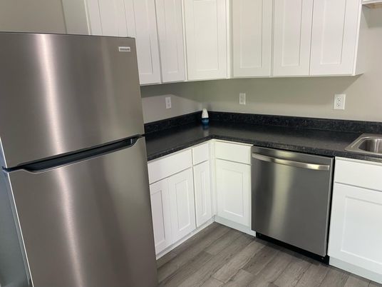 Interior, Kitchen, Stainless Steel Appliances, Wood Texture Flooring