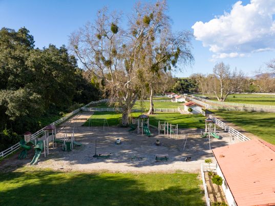 Backyard, Exterior, Playground