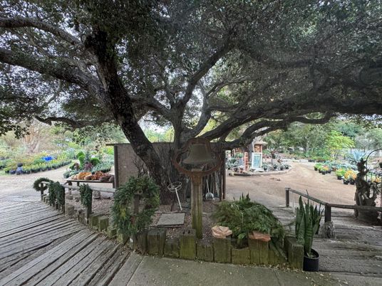 Exterior, Playground