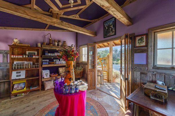 Interior, Wooden Beams, Wood Texture Flooring