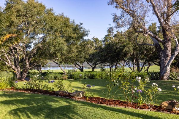 Backyard, Exterior, Water