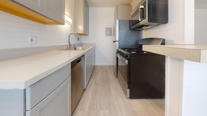 Interior, Kitchen, Stainless Steel Appliances, Wood Texture Flooring