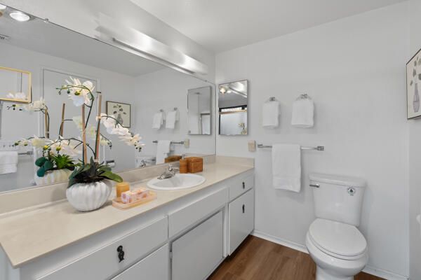 Bathroom, Dual Sink Vanities, Interior, Wood Texture Flooring