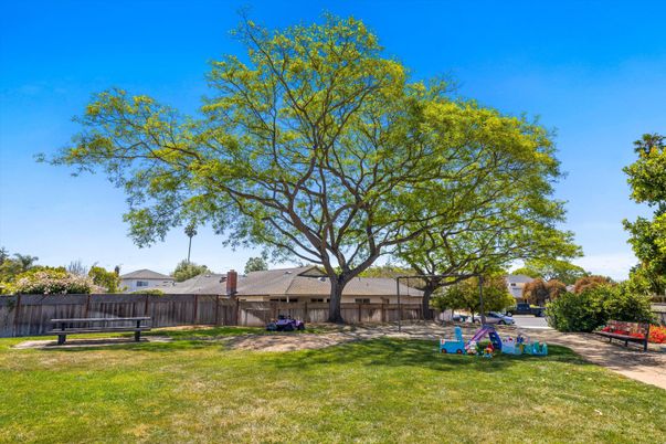 Backyard, Exterior, Playground