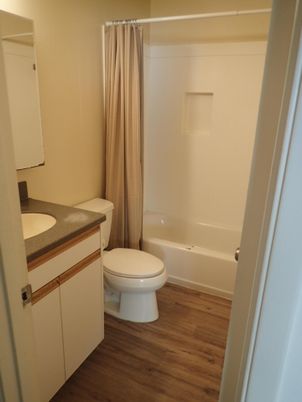 Bathroom, Interior, Wood Texture Flooring