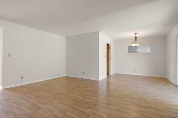 Empty room, Interior, Pendant Lights, Wood Texture Flooring