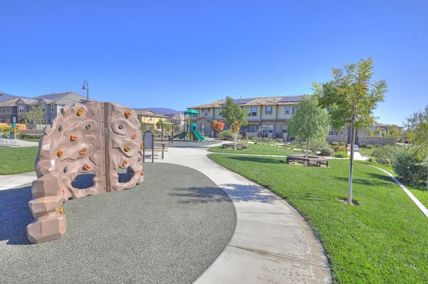 Backyard, Exterior, Playground