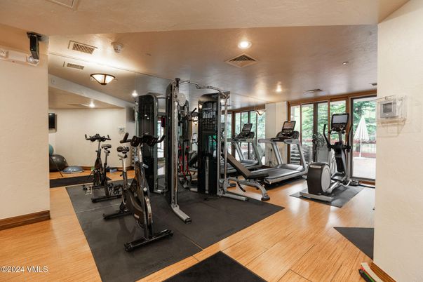 Fitness Equipment, Gym, Interior, Recessed Lighting, Wood Texture Flooring