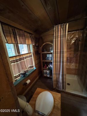 Bathroom, Interior, Wooden Walls