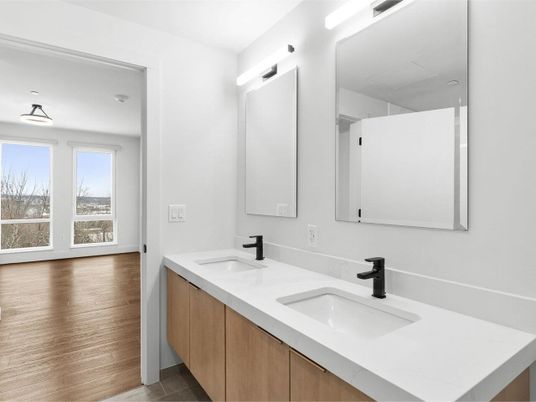 Bathroom, Dual Sink Vanities, Interior, Wood Texture Flooring