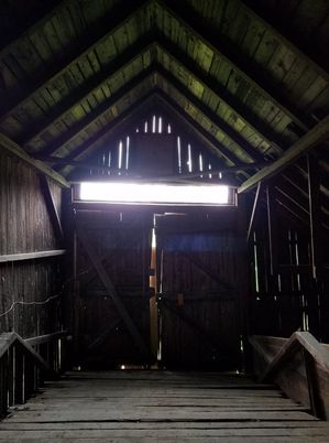 Interior, Wooden Beams, Wooden Ceilings