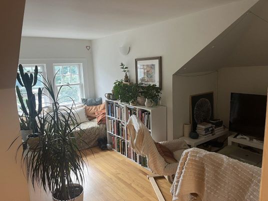 Interior, Living room, Wood Texture Flooring