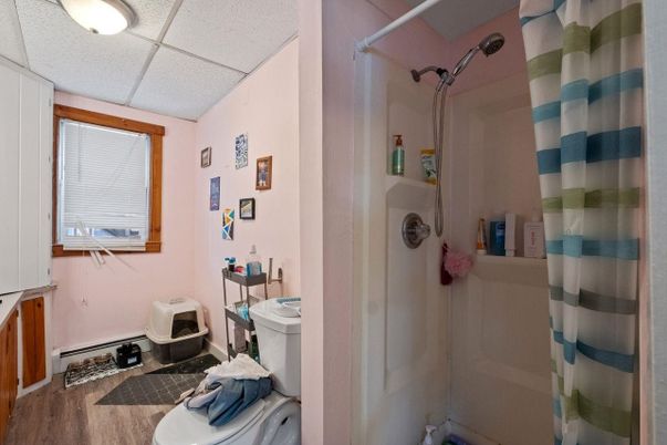 Bathroom, Interior, Wood Texture Flooring