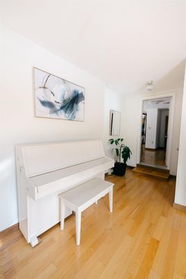 Interior, Piano, Wood Texture Flooring