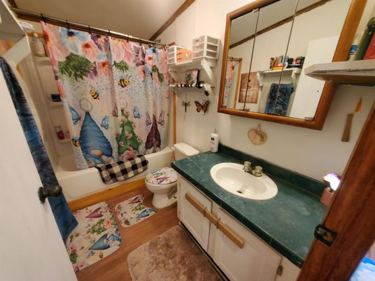Bathroom, Interior, Wood Texture Flooring