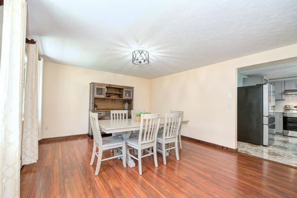 Dining room, Interior, Wood Texture Flooring