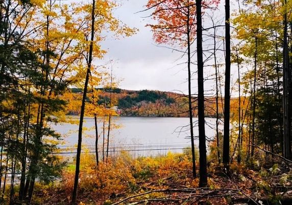 Exterior, Lake
