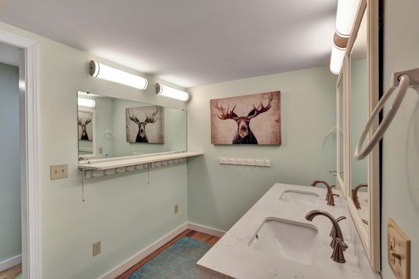Bathroom, Dual Sink Vanities, Interior, Wood Texture Flooring