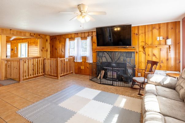 Fireplace, Interior, Wooden Walls