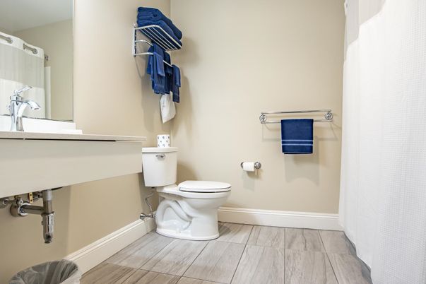 Bathroom, Interior, Wood Texture Flooring