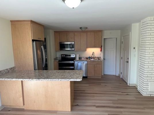 Interior, Kitchen, Stainless Steel Appliances, Wood Texture Flooring