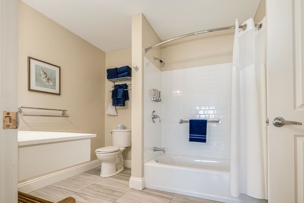 Bathroom, Interior, Wood Texture Flooring