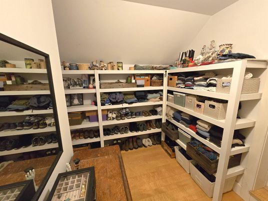Interior, Walk-in Closets, Wood Texture Flooring