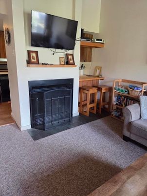 Fireplace, Interior, Wood Texture Flooring